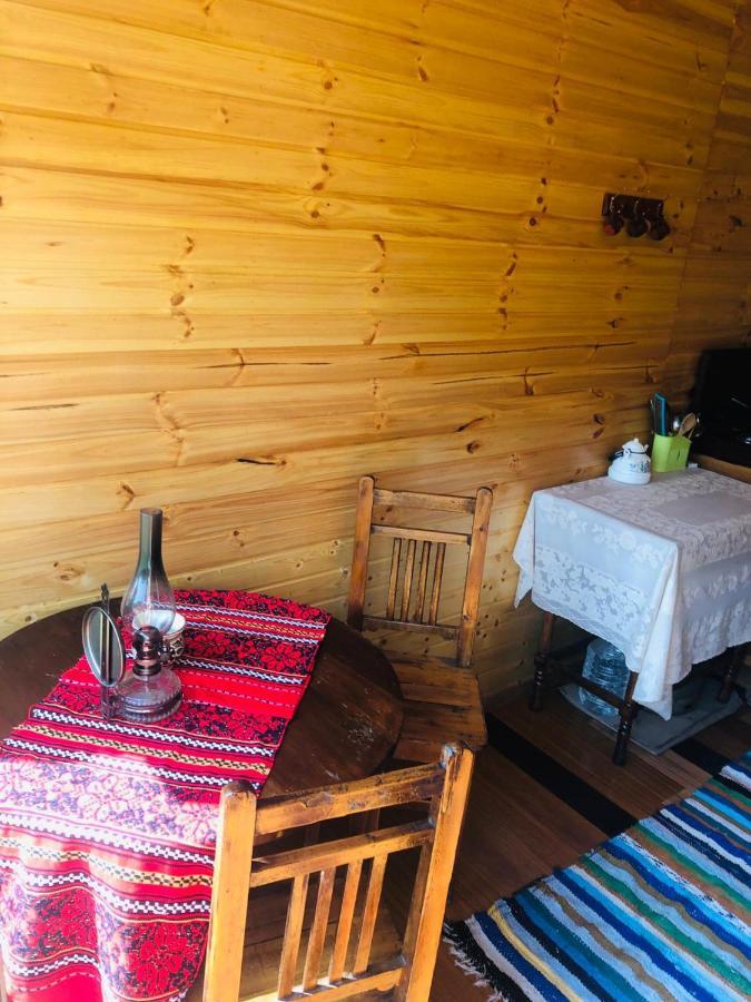 Hotel La Container Curtea de Argeş Esterno foto